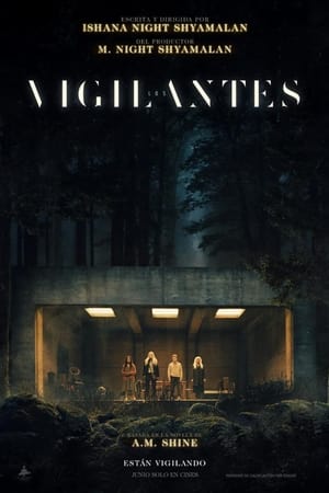 Descargar Los vigilantes Torrent