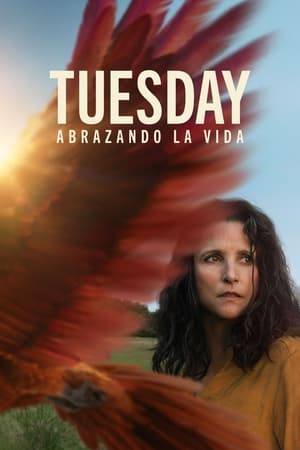 Descargar Tuesday Torrent