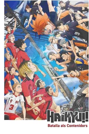 Descargar Haikyu!! La batalla del basurero Torrent